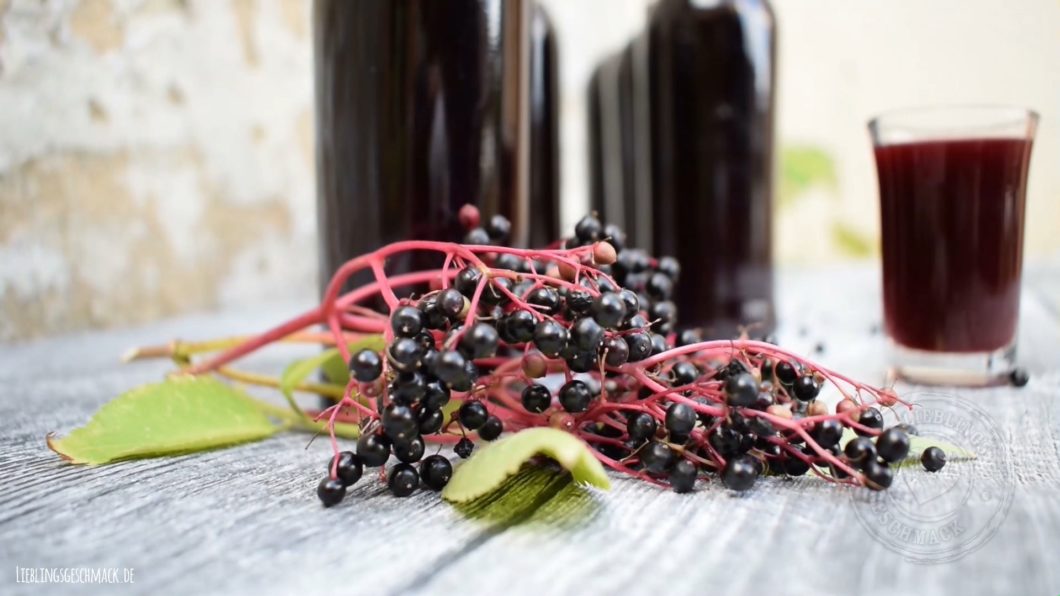 Holunderbeeren-Likör - Rezept - Lieblingsgeschmack.de